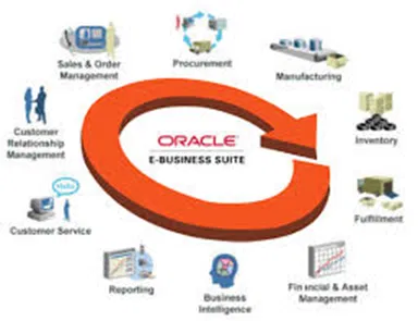 ERP Implementation and Support